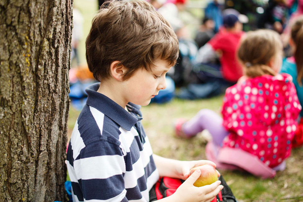 Arkadaş Edinememe, İçe Dönük Kişilik vb.. Uyum Bozuklukları